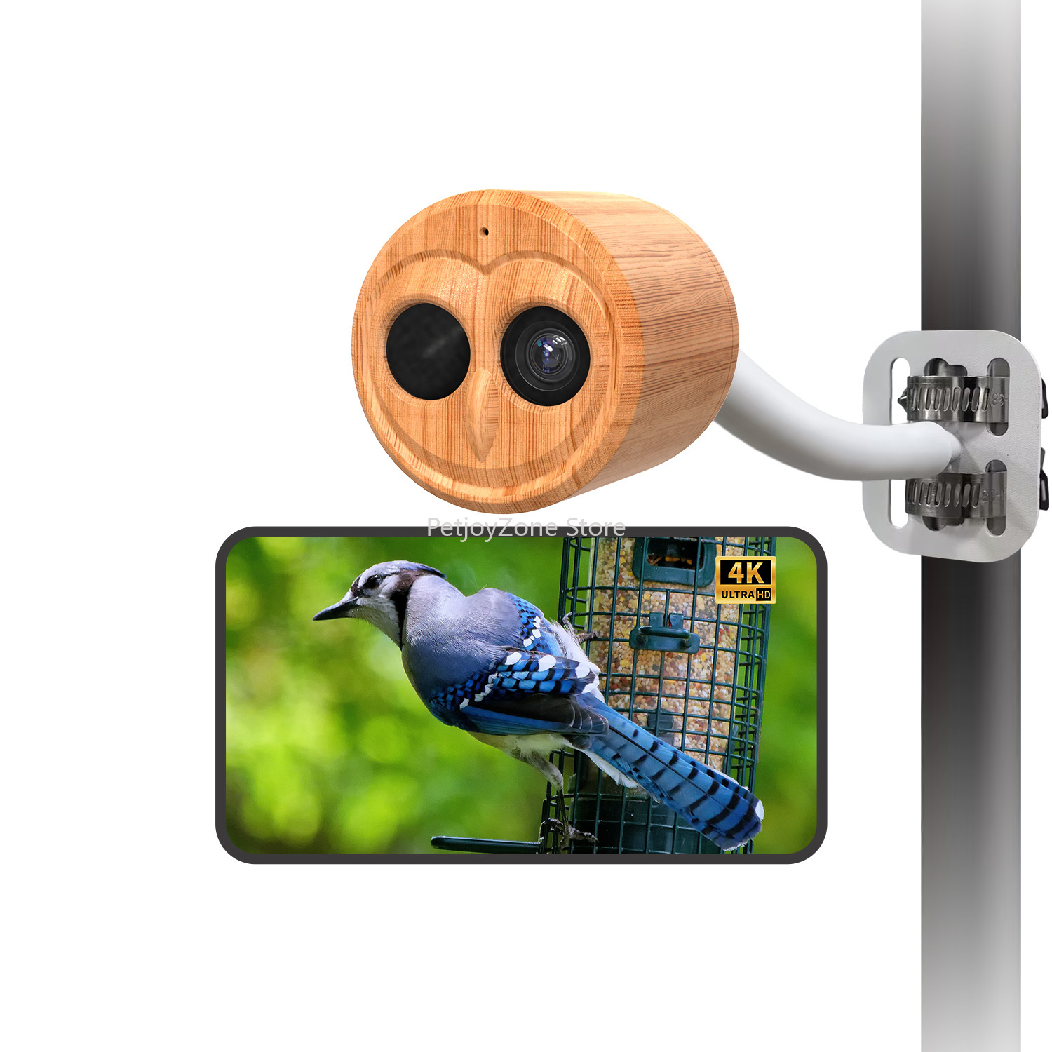 Smart Bird Feeder Camera - WILLFINE Otomatik Yapay Zeka Kuş Besleyici,
