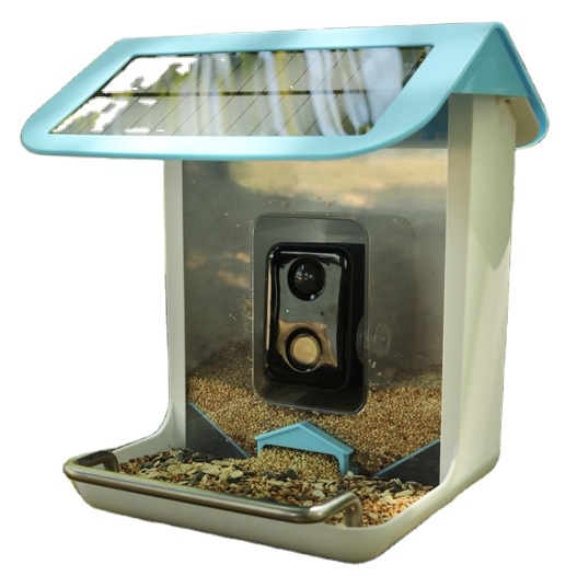 Açık Hava Yaban Hayatı Wifi Ka - Smart Bird Feeder Camera incelemesi ve fiyatı