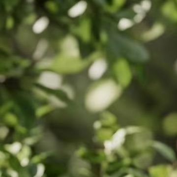 Akıllı Yağmur Sensörü İçin Kab - Smart Garden Devices incelemesi ve fiyatı